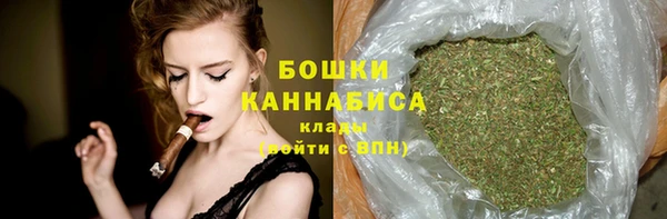 сатива Осташков