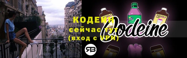 сатива Осташков