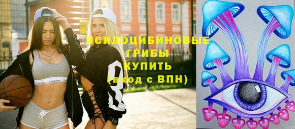 сатива Осташков