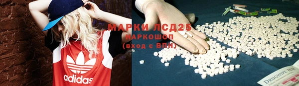 сатива Осташков